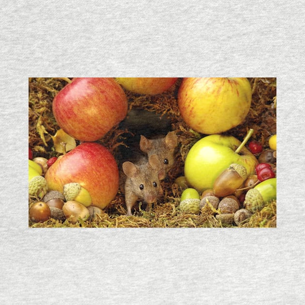 George the mouse in a log pile House . two mice at the door by Simon-dell